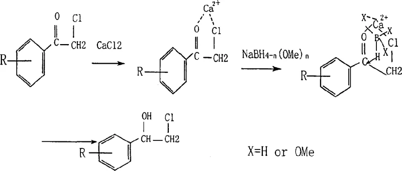 Detailed mechanistic pathway illustrating the Calcium ion complexation preventing alpha-halogen substitution