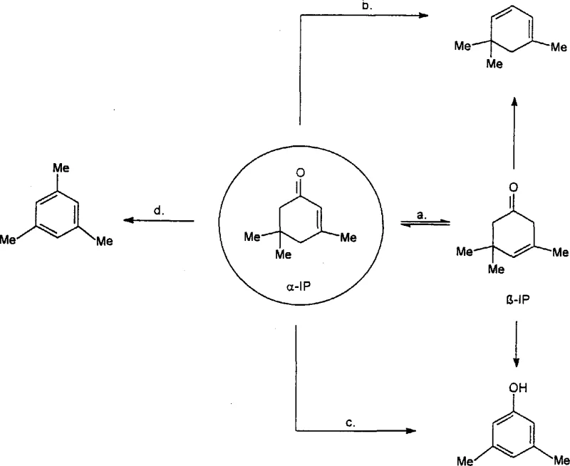 Reaction network showing alpha-isophorone conversion pathways including isomerization to beta-isophorone and competing side reactions forming byproducts