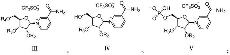 Chemical structures of novel intermediates III, IV, and V highlighting the protecting group strategy