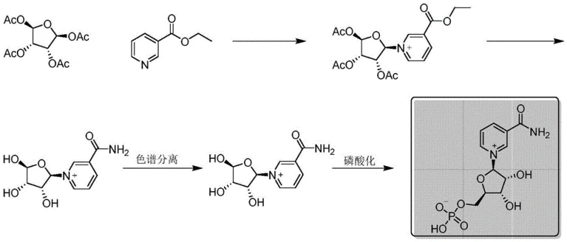 Synthetic route of Beta-Nicotinamide Mononucleotide showing condensation, ammonolysis, resolution, and phosphorylation steps