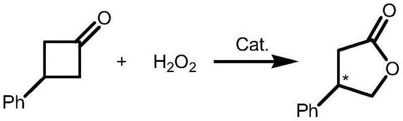 Reaction scheme showing the asymmetric Baeyer-Villiger oxidation of 3-phenylcyclobutanone to beta-phenyl-gamma-butyrolactone using H2O2 and a catalyst