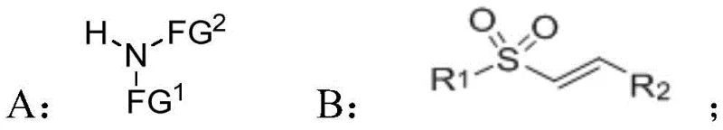 Reaction scheme showing nucleophile A and conjugated olefin sulfone B reacting to form Formula I