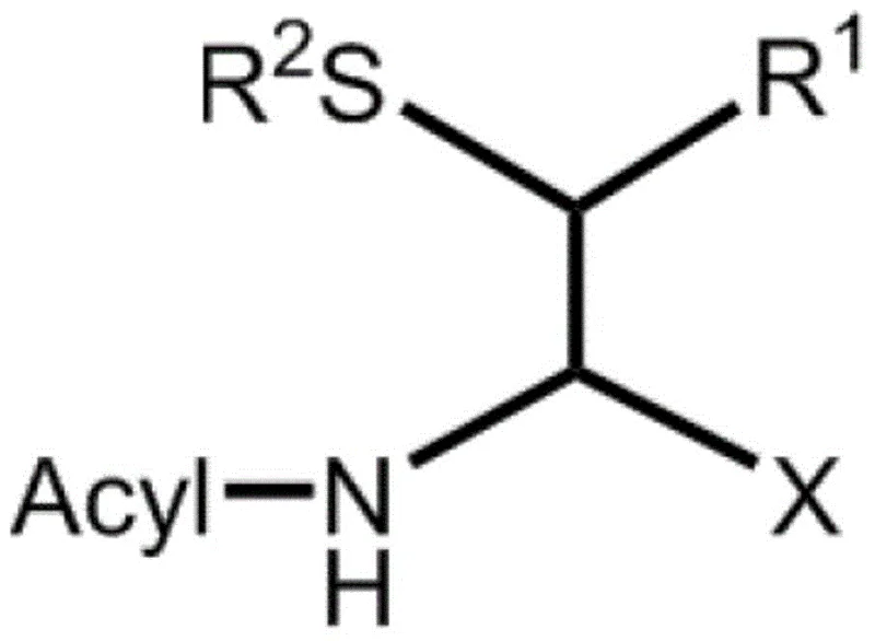 General chemical structure of beta-thioamino acid derivative intermediate with Acyl-NH and R2S groups