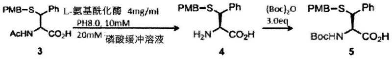 Enzymatic resolution scheme showing L-aminoacylase hydrolysis and subsequent Boc protection
