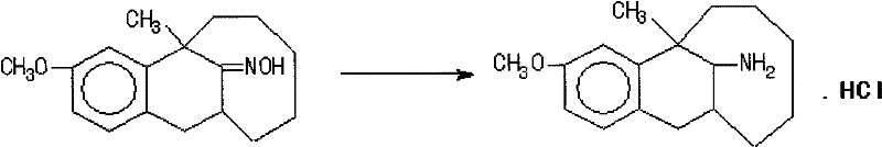Chemical reaction scheme showing the hydrogenation of tricyclic ketoxime to beta-tricyclic amine hydrochloride using Pd/C catalyst