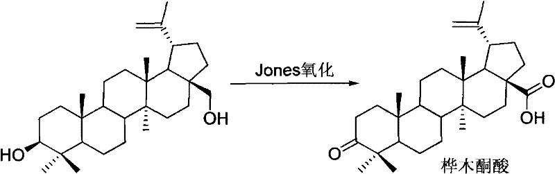 Conventional Jones Oxidation of Betulin showing toxic CrO3 reagents and low yield