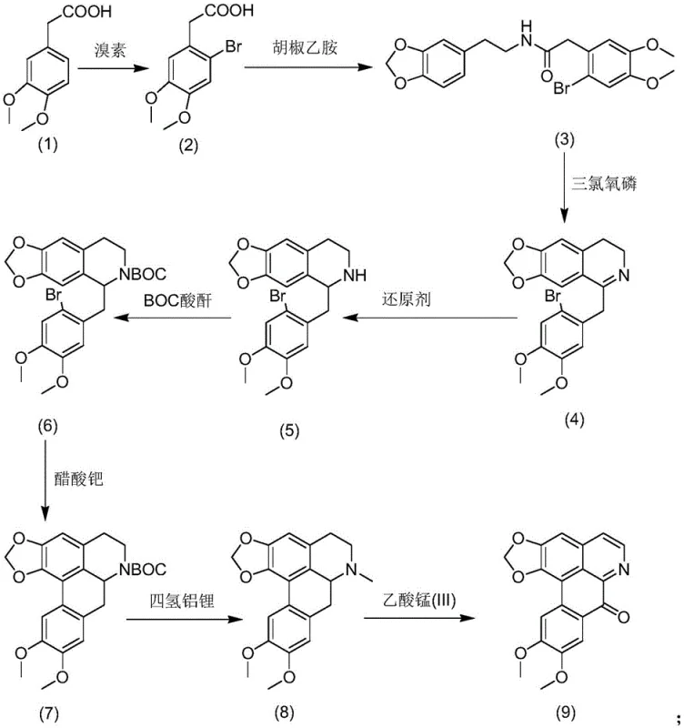 Total synthesis reaction scheme of Bicuculline Oxide showing bromination, amidation, cyclization, and oxidation steps