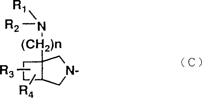 General structure of the bicyclic amino group showing the 3-azabicyclo[3.2.0]heptane scaffold