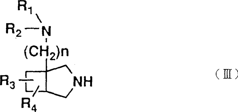 Reaction scheme showing the amination of the pyridone core with the bicyclic amine intermediate