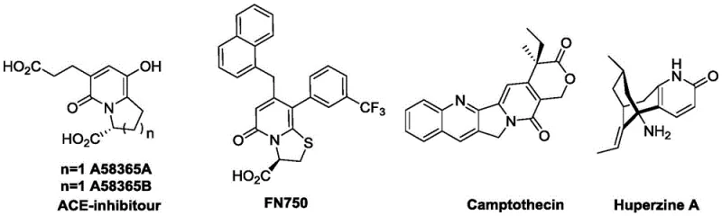 Structural examples of bioactive bicyclic pyridone compounds including Camptothecin and Huperzine A