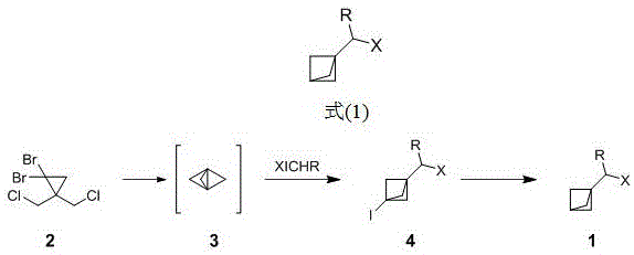General formula of bicyclo[1.1.1]pentane derivatives showing variable R and X groups