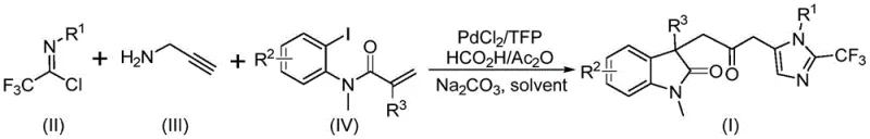 General reaction pathway demonstrating diverse substitution patterns in carbonyl-bridged biheterocyclic compound synthesis