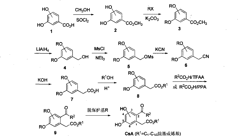 Complete synthetic route for bishydroxy-2-acylphenylacetate showing esterification, protection, reduction, and acylation steps