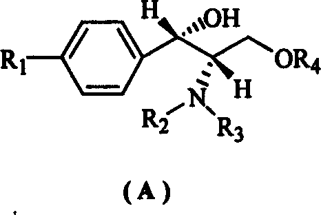 Chemical structure of the chiral amine catalyst (A) used for enantioselective catalysis