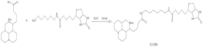 Convergent synthesis coupling Compound 1 and Compound 3 to form Compound 4