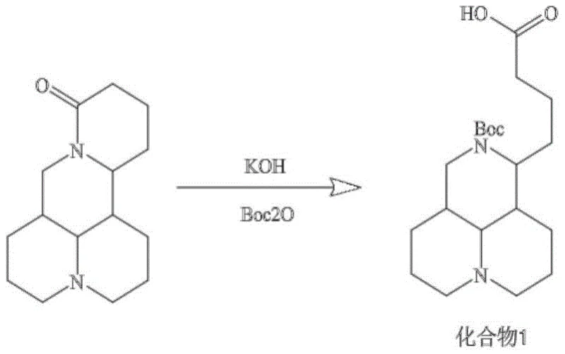 Synthetic route showing the ring-opening and Boc-protection of matrine to form Compound 1