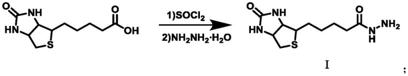 Synthesis of biotin hydrazide intermediate (Compound I) from D-biotin via thionyl chloride activation