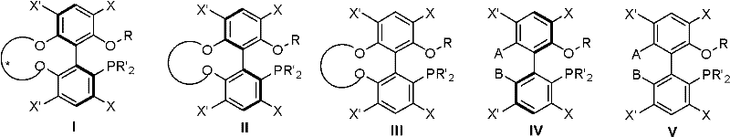 General structural formula of the novel biphenyl phosphine ligands showing variable substituents
