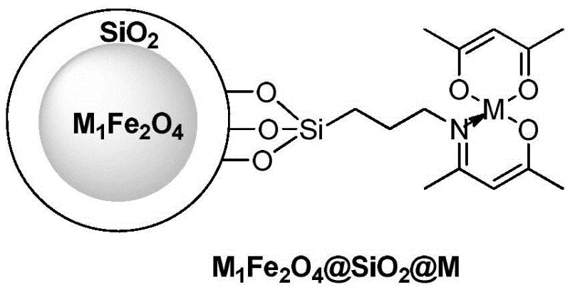 Structure of the functionalized magnetic complex catalyst showing the core-shell architecture