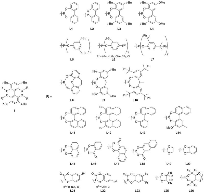 General chemical structure of the novel biphenyl tetradentate phosphonite ligand Formula I