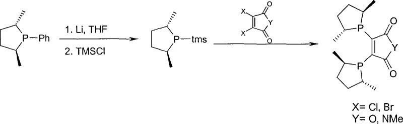 Reaction scheme showing the conversion of phenylphosphine to bisphospholane ligands via dilithium intermediate and coupling with maleic anhydride derivatives