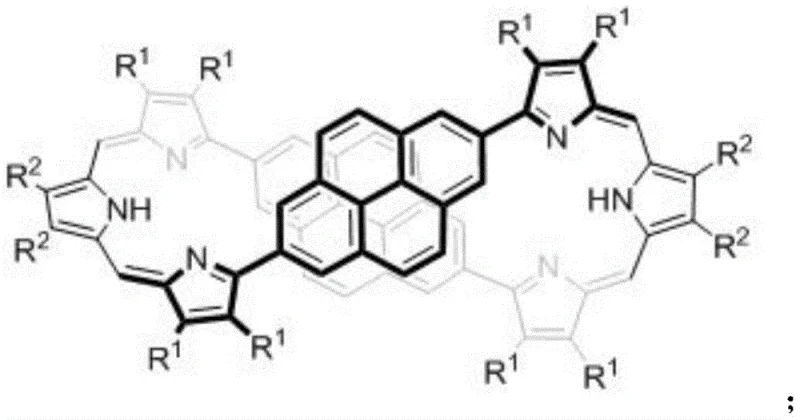 General structural formula of the bispyrene-doped extended porphyrin Expr-1 showing the core macrocyclic framework