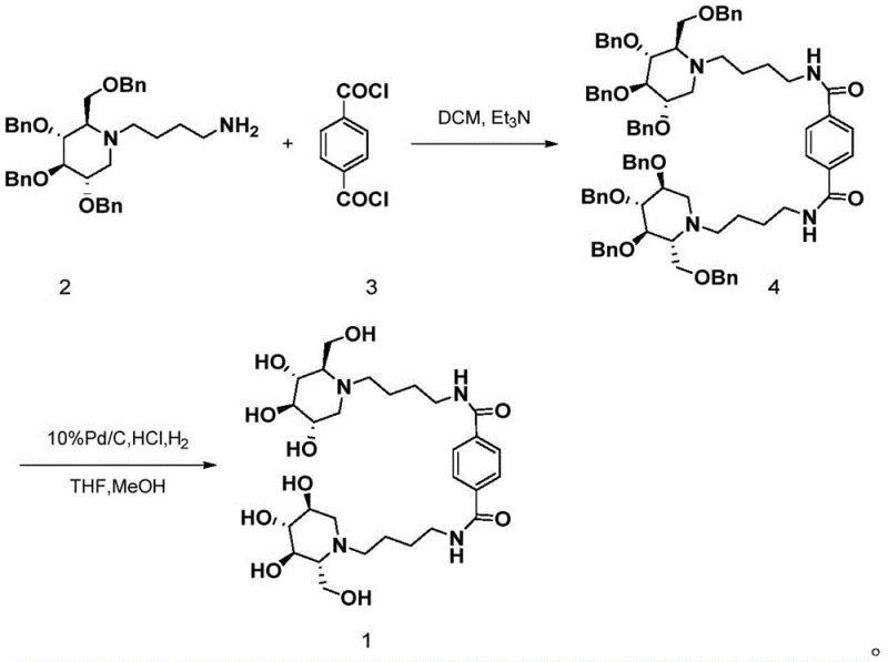 Overall synthetic route showing amide coupling and hydrogenation steps