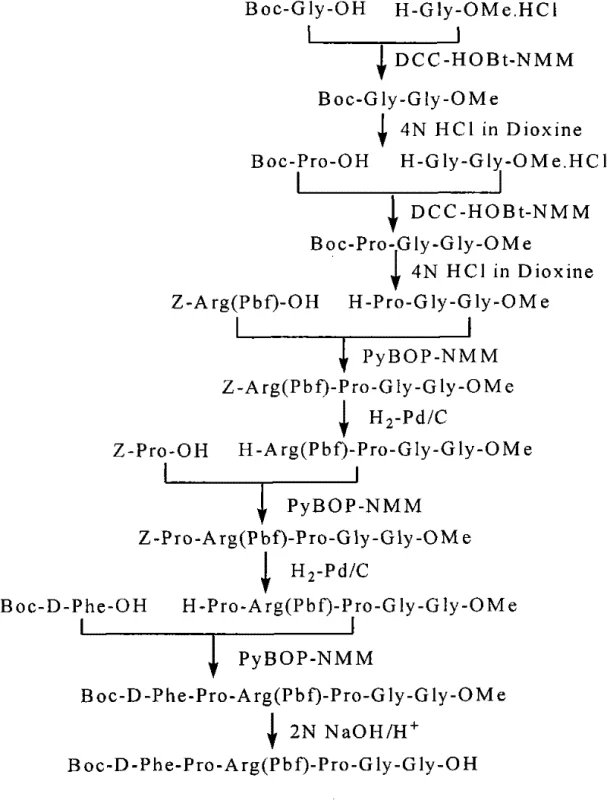 Synthesis of N-terminal Fragment A showing stepwise coupling of protected amino acids