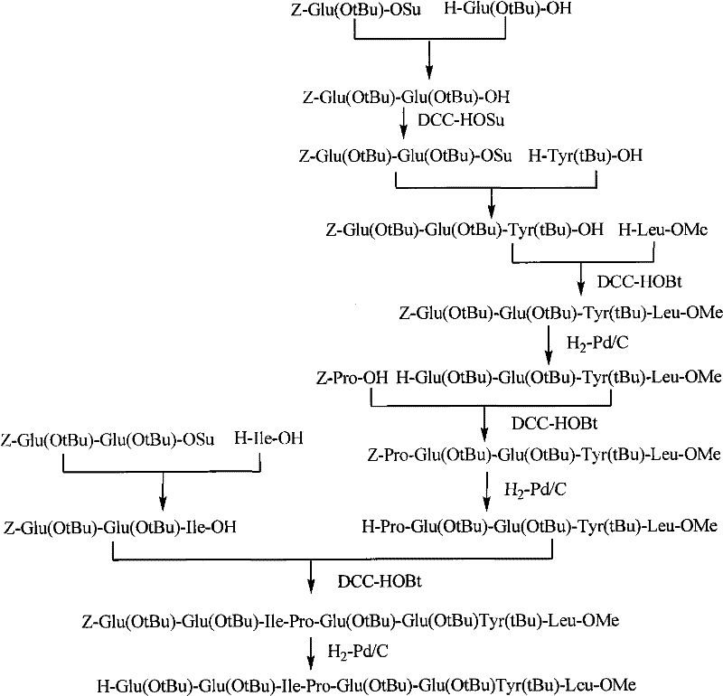 Synthesis of C-terminal Fragment C involving complex coupling of protected Glutamic and Tyrosine residues