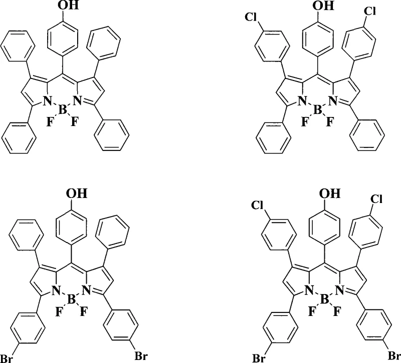 Specific examples of synthesized BODIPY derivatives showing chlorine and bromine substitutions for varied optical properties