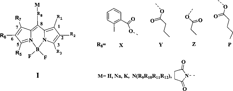 General chemical structure of Type I boron fluoride complex dipyrromethene dyes showing variable R groups and M cations