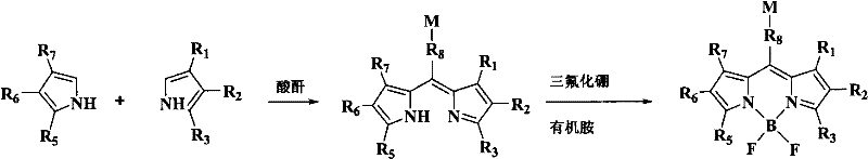 Reaction scheme showing the condensation of substituted pyrroles with acid anhydrides followed by boron trifluoride complexation