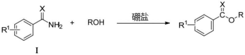 General reaction scheme showing boron salt catalyzed conversion of benzamides to benzoate esters