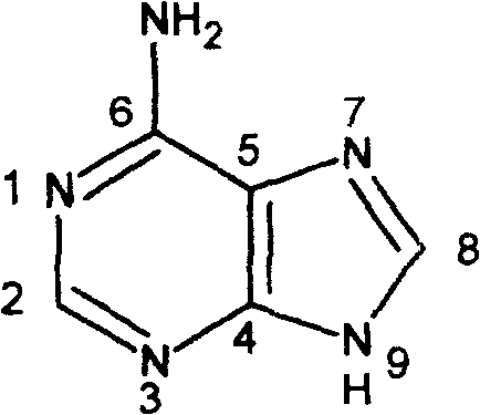 Chemical structure of Adenine showing the fused pyrimidine and imidazole ring system