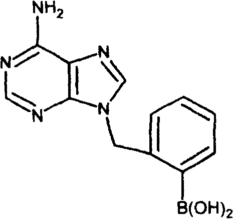 Synthesis reaction scheme of N9-(2-boronyl)benzyl adenine from adenine and 2-bromomethylphenylboronic acid