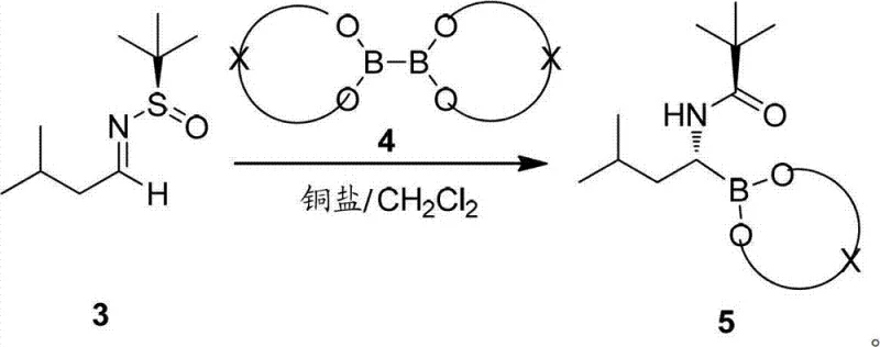 Copper-catalyzed borylation reaction mechanism