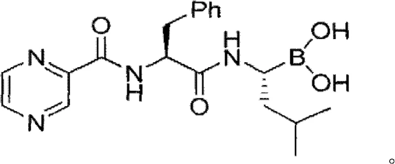 Chemical structure of Bortezomib showing the key boronic acid moiety
