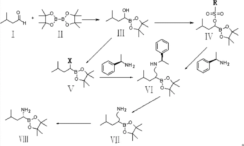 Overall synthetic route for R-(1-amino-3-methyl)butyl pinacol borate showing key transformation steps
