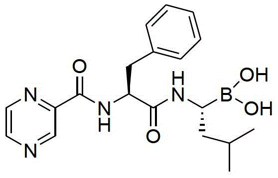 Chemical structure of Bortezomib showing the boronic acid pharmacophore essential for proteasome inhibition