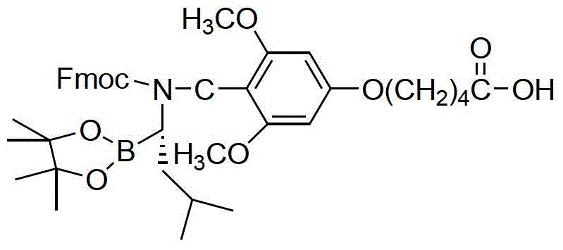 Structure of the Fmoc-protected boronic acid intermediate used as the initial resin loading unit