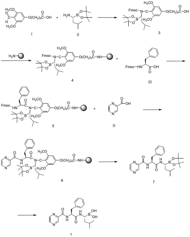 Overall reaction scheme showing the solid-phase assembly of Bortezomib from resin-bound intermediates