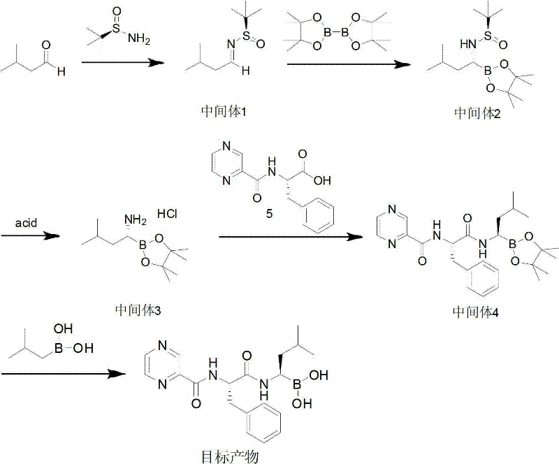 Novel synthetic route for Bortezomib using sulfinamide and copper catalysis