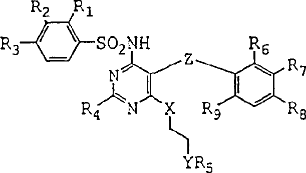 General formula I of monoprotected 1,2-diheteroethylene sulfonamides