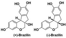 Chemical structures of (+)-Brazilin and (-)-Brazilin showing stereochemical differences