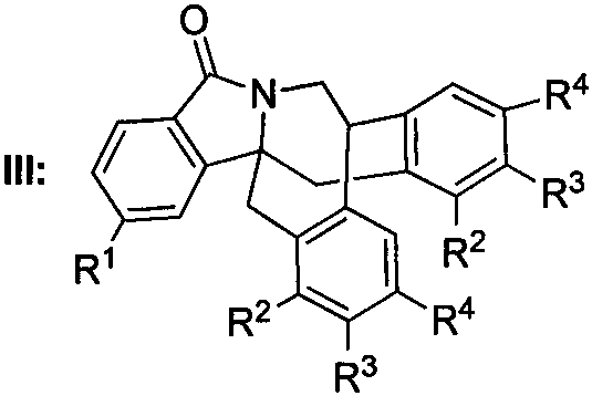 General chemical structure of bridged isoindolinone derivatives showing variable R groups for diversification