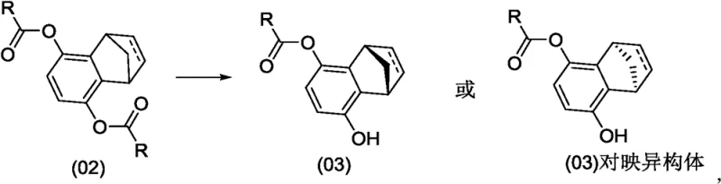 Core enzymatic kinetic resolution reaction converting diester 02 to chiral monoester 03