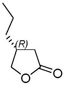 Structure of the target intermediate (R)-3-propyl-gamma-butyrolactone with defined stereochemistry