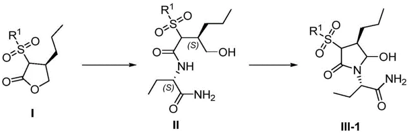 Novel synthetic route converting Formula I to Formula III-1 via amidation and oxidation