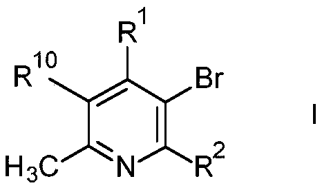 General structure of brominated pyridine derivatives Formula I showing substitution patterns