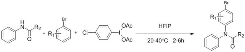 General reaction scheme for hypervalent iodine mediated para-amination of bromobenzene